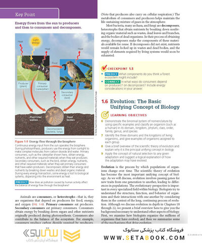 Biology 11th Edicion