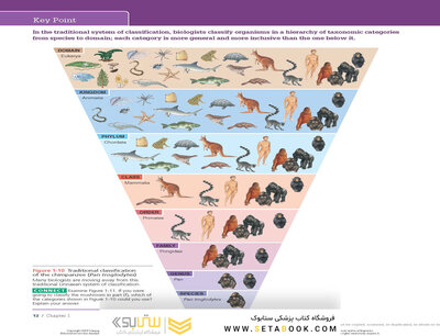 Biology 11th Edicion