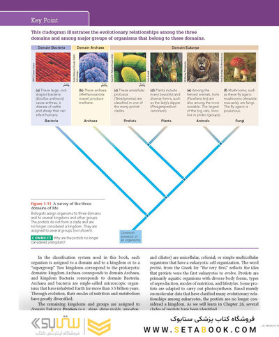 Biology 11th Edicion