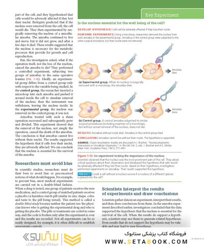 Biology 11th Edicion
