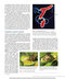 Biology 11th Edicion