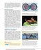 Biology 11th Edicion