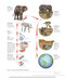 Biology 11th Edicion