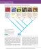 Biology 11th Edicion
