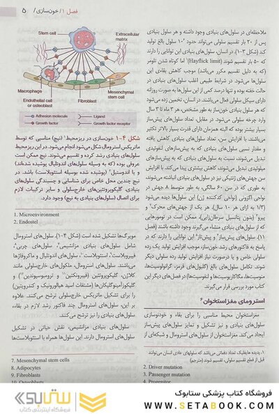 هماتولوژی هافبراند 2020