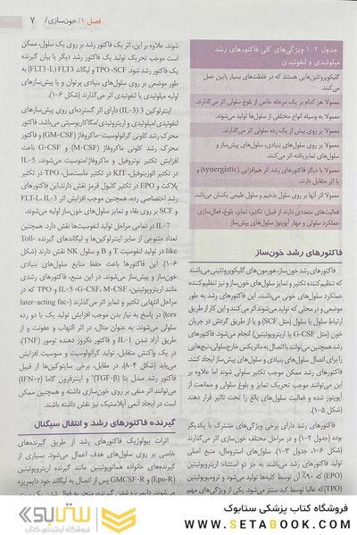 هماتولوژی هافبراند 2020