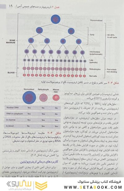 هماتولوژی هافبراند 2020