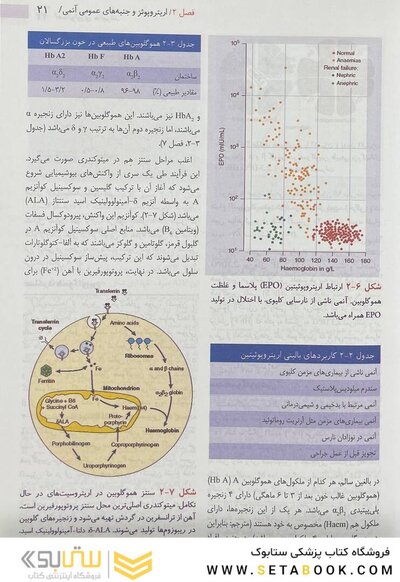 هماتولوژی هافبراند 2020