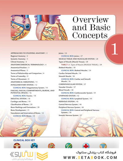 Clinically Oriented Anatomy Moore