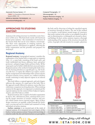 Clinically Oriented Anatomy Moore