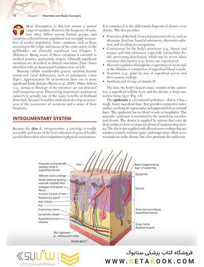 Clinically Oriented Anatomy Moore