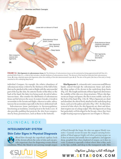 Clinically Oriented Anatomy Moore