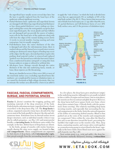 Clinically Oriented Anatomy Moore