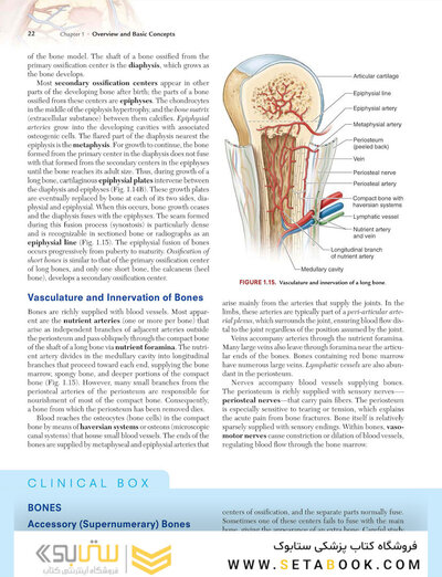 Clinically Oriented Anatomy Moore