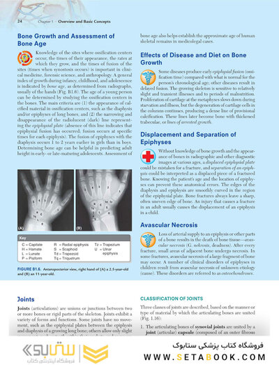 Clinically Oriented Anatomy Moore