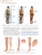 Clinically Oriented Anatomy Moore