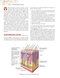 Clinically Oriented Anatomy Moore