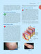 Clinically Oriented Anatomy Moore