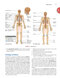Clinically Oriented Anatomy Moore