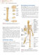 Clinically Oriented Anatomy Moore