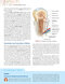 Clinically Oriented Anatomy Moore