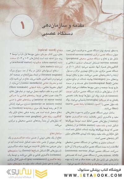 QR خلاصه نوروآناتومی بالینی اسنل 2019
