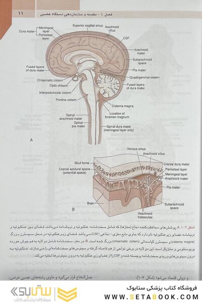 QR خلاصه نوروآناتومی بالینی اسنل 2019