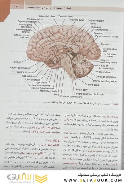 QR خلاصه نوروآناتومی بالینی اسنل 2019