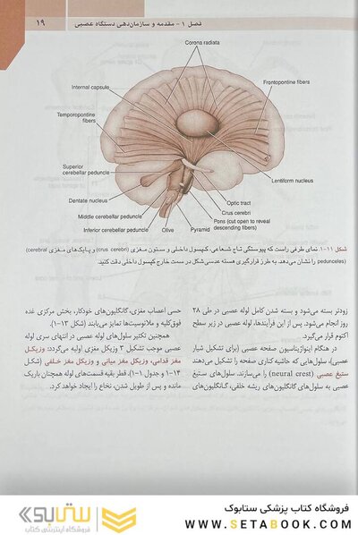 QR خلاصه نوروآناتومی بالینی اسنل 2019