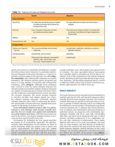 Cellular and Molecular Immunology 10th Edicion 2022