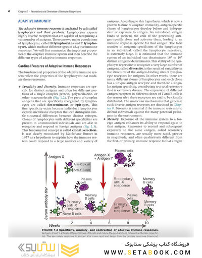 Cellular and Molecular Immunology 10th Edicion 2022