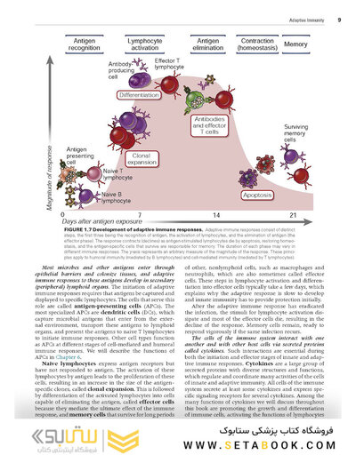 Cellular and Molecular Immunology 10th Edicion 2022