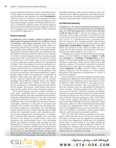 Cellular and Molecular Immunology 10th Edicion 2022