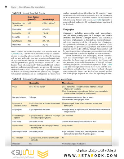 Cellular and Molecular Immunology 10th Edicion 2022