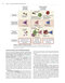 Cellular and Molecular Immunology 10th Edicion 2022