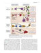 Cellular and Molecular Immunology 10th Edicion 2022