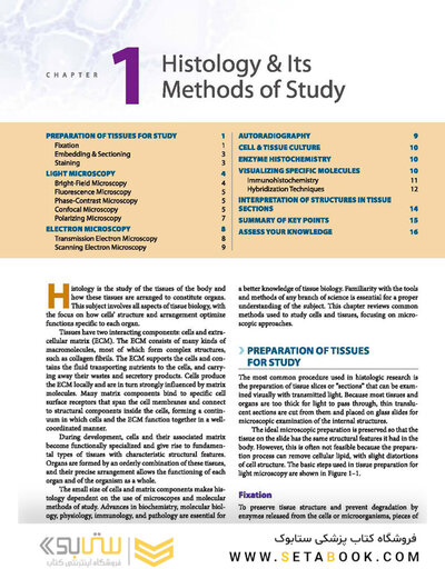 Junqueira's Basic Histology: Text and Atlas, Sixteenth Edition