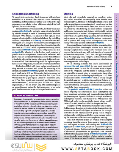 Junqueira's Basic Histology: Text and Atlas, Sixteenth Edition