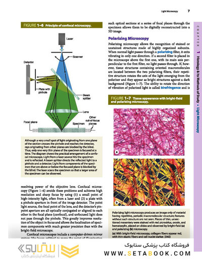 Junqueira's Basic Histology: Text and Atlas, Sixteenth Edition