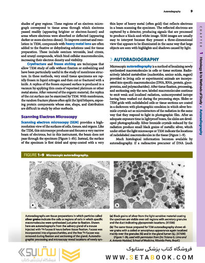 Junqueira's Basic Histology: Text and Atlas, Sixteenth Edition