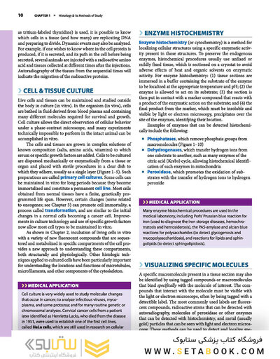 Junqueira's Basic Histology: Text and Atlas, Sixteenth Edition