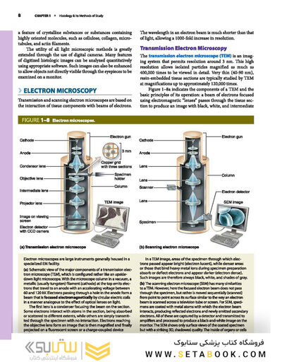 Junqueira's Basic Histology: Text and Atlas, Sixteenth Edition