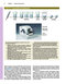 Junqueira's Basic Histology: Text and Atlas, Sixteenth Edition