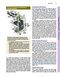 Junqueira's Basic Histology: Text and Atlas, Sixteenth Edition