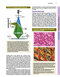 Junqueira's Basic Histology: Text and Atlas, Sixteenth Edition