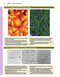 Junqueira's Basic Histology: Text and Atlas, Sixteenth Edition