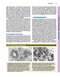 Junqueira's Basic Histology: Text and Atlas, Sixteenth Edition