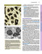 Junqueira's Basic Histology: Text and Atlas, Sixteenth Edition