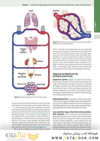 Guyton and Hall Textbook of Medical Physiology (Guyton Physiology) 14th Edicion