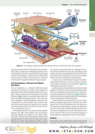 Guyton and Hall Textbook of Medical Physiology (Guyton Physiology) 14th Edicion